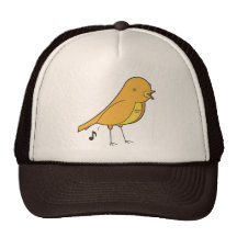 Bird songs mesh hat