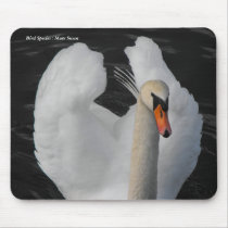 Bird Species : Mute Swan Mouse mousepads