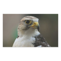 Bird Rectangular Stickers