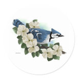 Bird Stickers