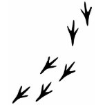 Bird - Tracks t-shirts