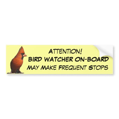 Bird Watcher Bumper Sticker by naturegirl7