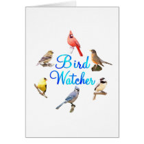 Bird Watcher Cards