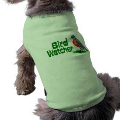 Bird Watcher by TheGalacticGroundhog