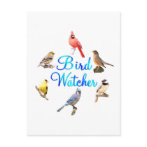 Bird Watcher Post Cards
