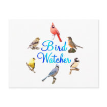 Bird Watcher Postcards