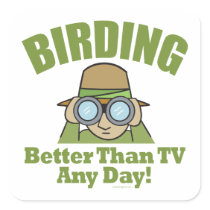 Bird Watching, Birding