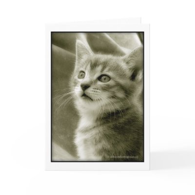 Bird Watching Card by WillWorkForDogFood