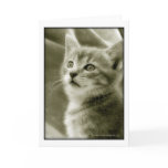 Bird Watching Card