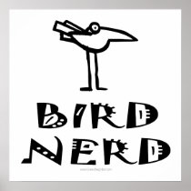 Bird Watching, Ornithology, Birding