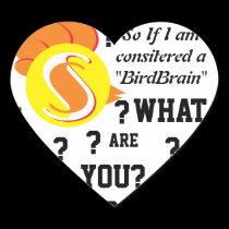 Birdbrain sticker stickers