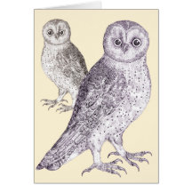 Birder Birthday Card - Owls, Great Pair of Hooters