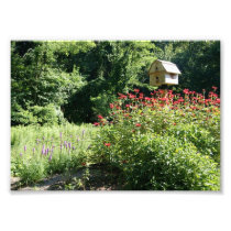 Birdhouse 5x7 Photographic Print