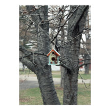 Birdhouse Announcement