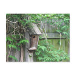 Birdhouse in Spring Postcards