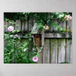 Birdhouse Posters