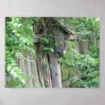 Birdhouse Poster