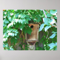 Birdhouse Posters