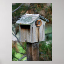 Birdhouse poster
