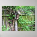 Birdhouse Poster