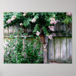 Birdhouse Poster