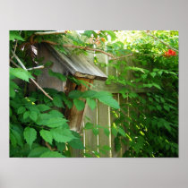 Birdhouse Poster