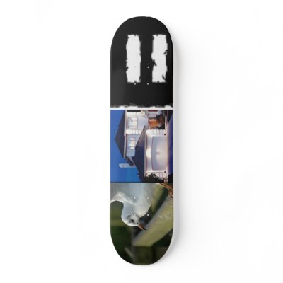 birdhouse skate board decks by iskate4realz