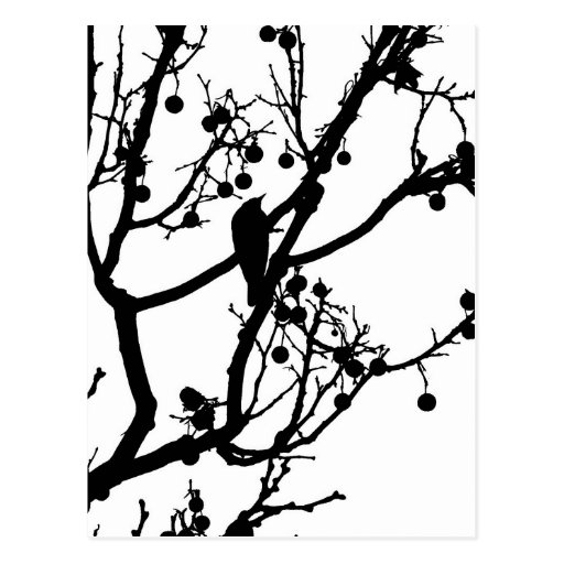 Birdie 4 post cards