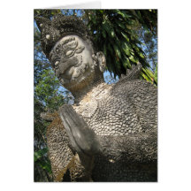 Birdman Wai ... Nong Khai, Isaan, Thailand Greeting Card
