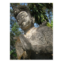 Birdman Wai ... Nong Khai, Isaan, Thailand Post Card