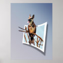 Birdog "Out of bounds" poster posters