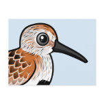 Birdorable Dunlin