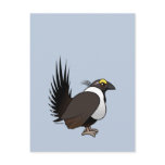 Birdorable Sage Grouse