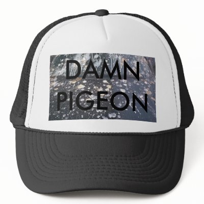birdpoop[1], DAMN PIGEON, Hats by vman8r