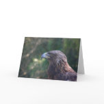 birds 001 greeting card