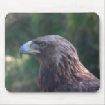 birds 001 mousepad