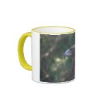 birds 001 mug