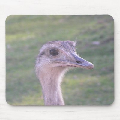 Birds 012 Mousepad by pasta26mc