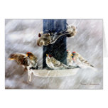 Birds at a feeder card