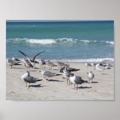 Birds at the beach print by sbkerrick