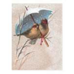 Birds Beneath Blue Umbrella Postcards