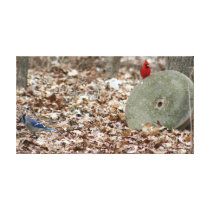Birds Gallery Wrapped Canvas