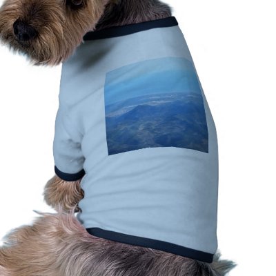 Bird's eye view pet clothing by pollop