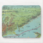 Birds Eye View Map Of New York And Vicinity
