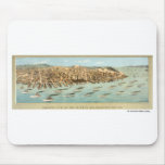 Bird's-eye View of the Fleet in San Francisco Bay, Mouse Mats
