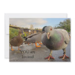 Birds Feeding Invitation