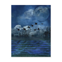 Birds flying in the night post cards