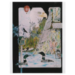Birds from A to L flyers