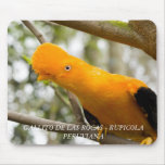 Birds GALLITO DE LAS ROCAS mousepads