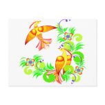 Birds In Colour